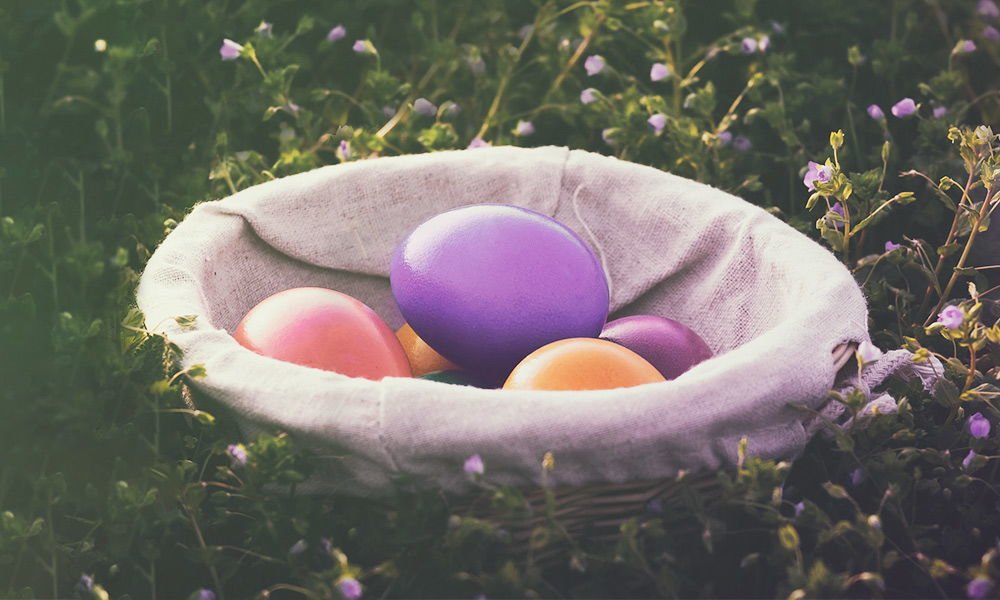 Have a Blessed and Holy Easter Car Solutions Have a Blessed and Holy Easter Car Solutions